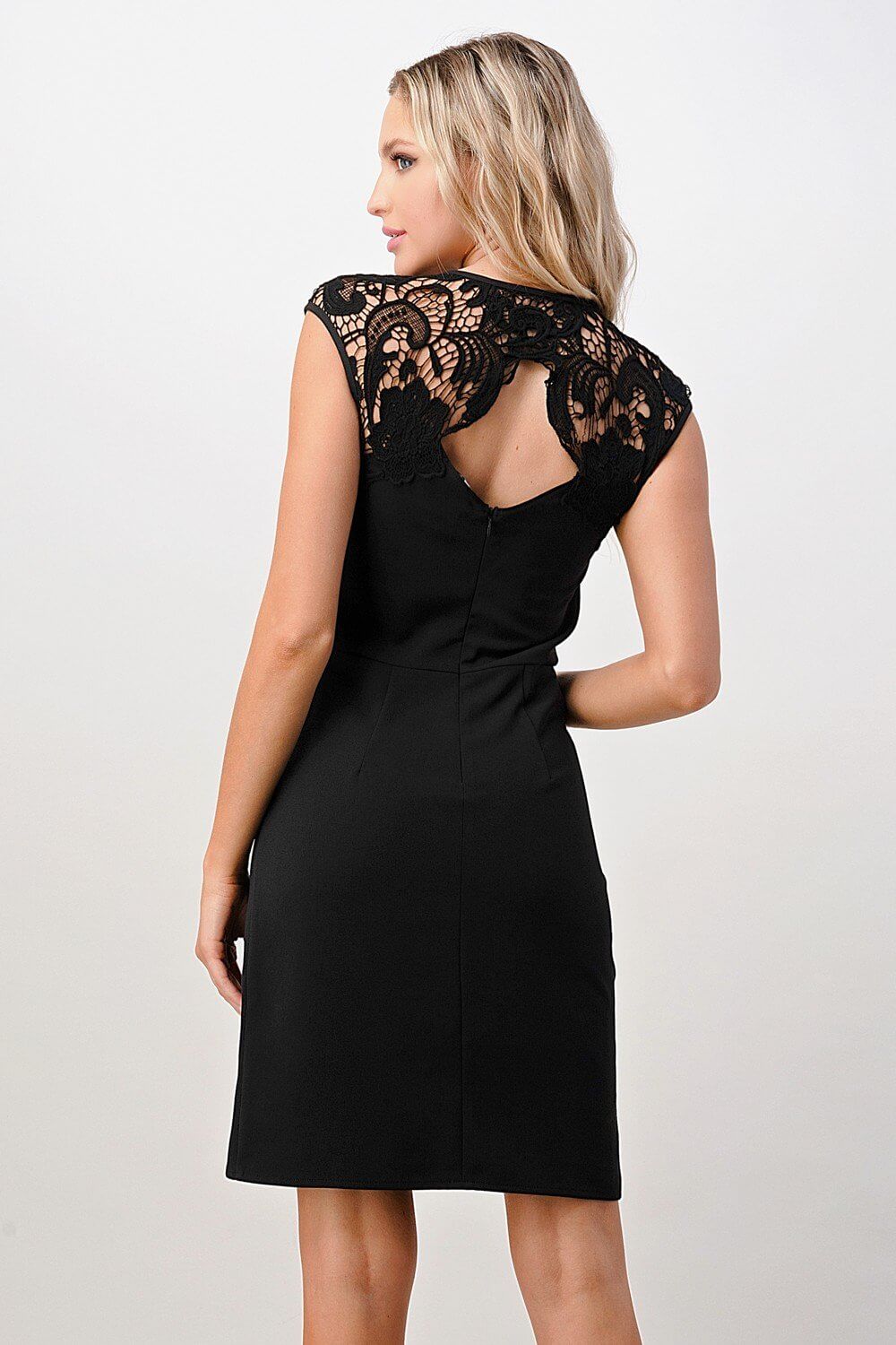 Elegant Lace Dress