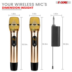 5Core Wireless Microphone Pair