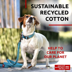 Laisse pour chien en coton recyclé WAUDOG 6 pi 10 pi Collier écologique pour