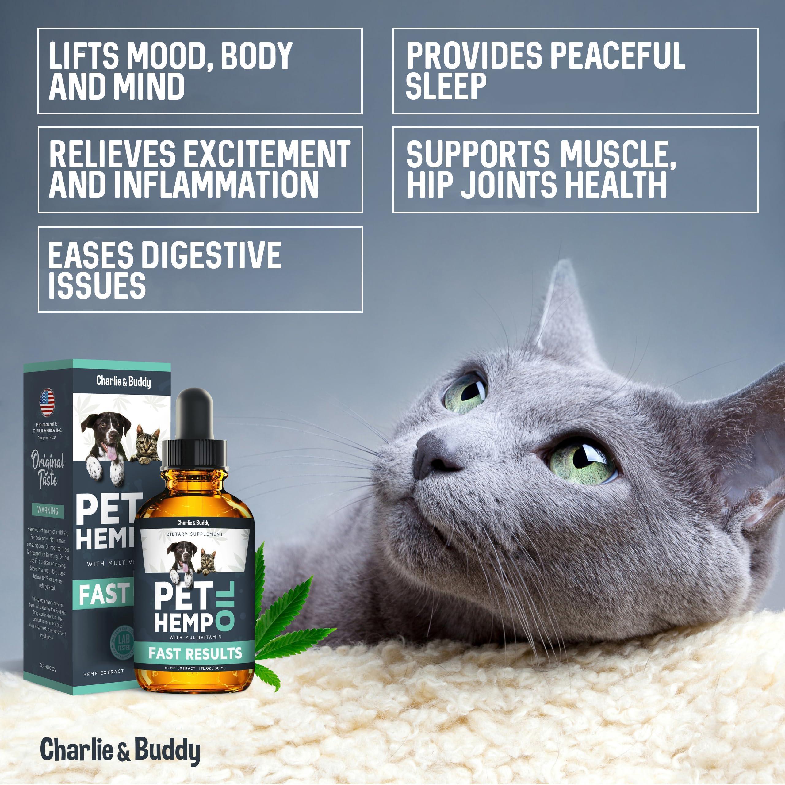 Huile de chanvre pour animaux Charlie & Buddy pour soulager le stress et l'anxiété