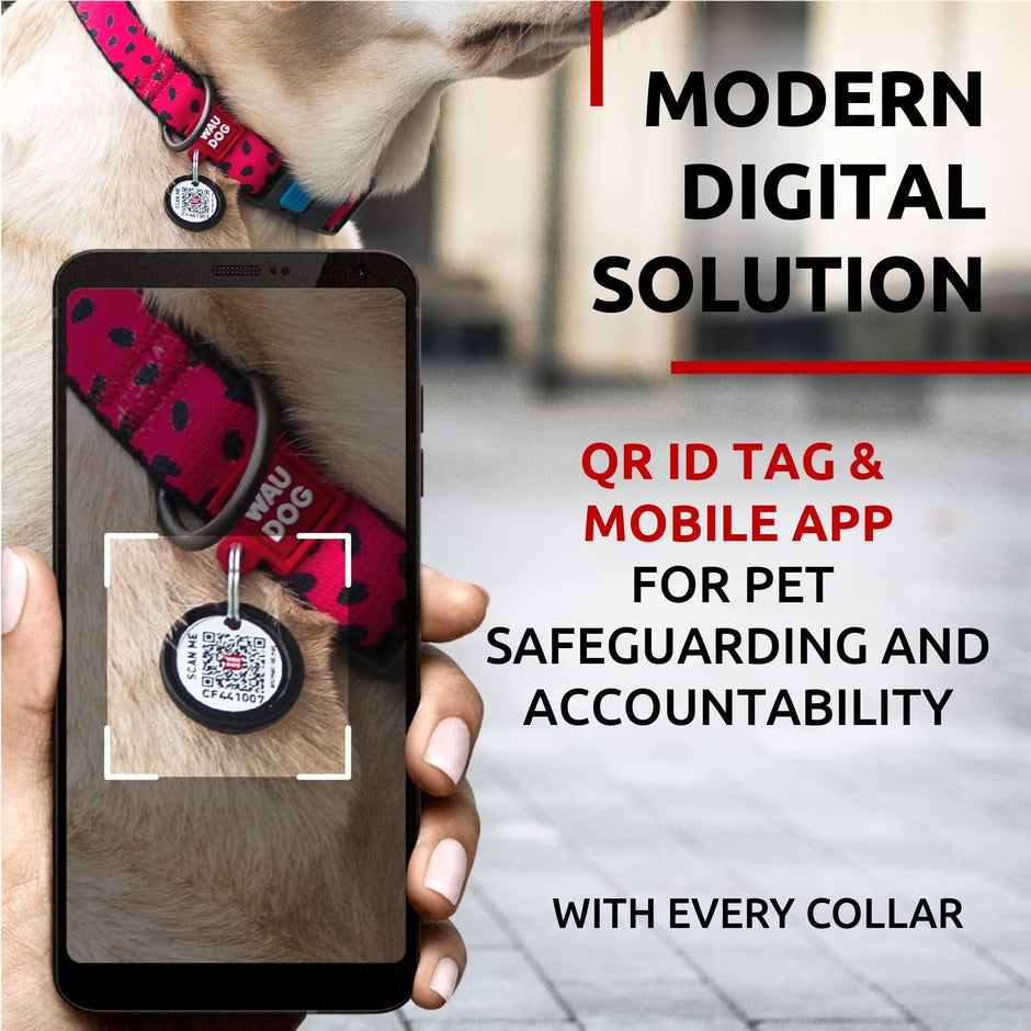 Adjustable Dog Collar