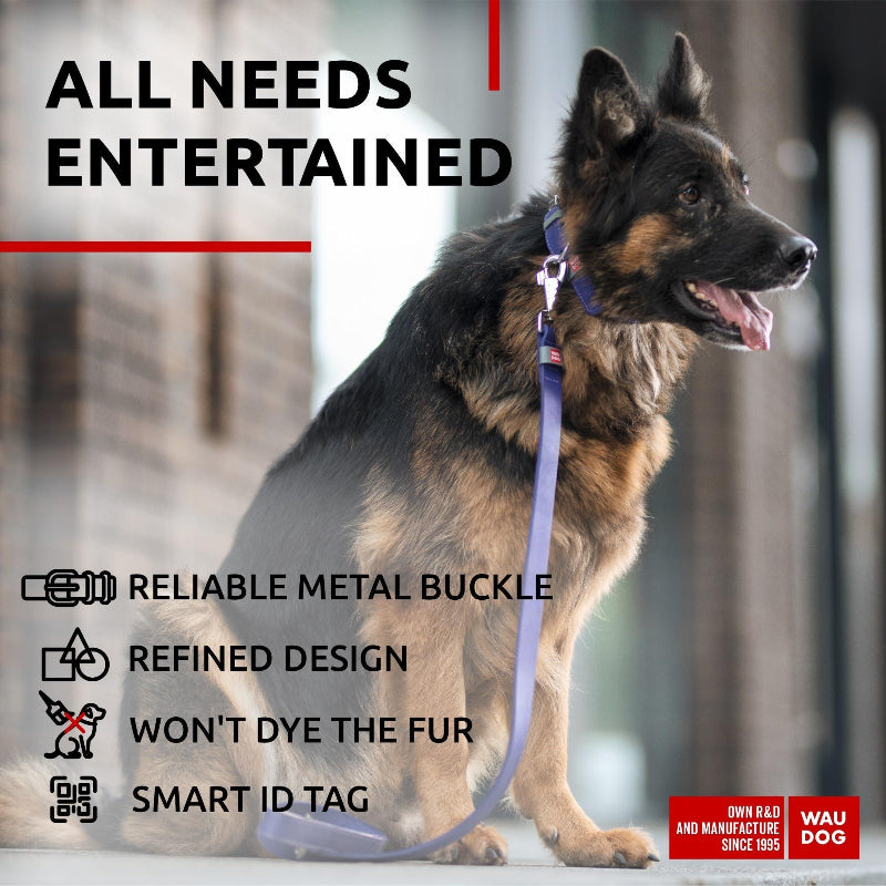 Premium Leather Collar