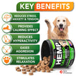 Hemp Calming Chews