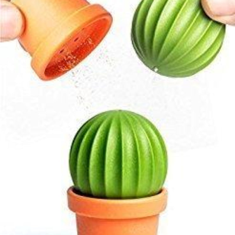 Cactus Shaker Set