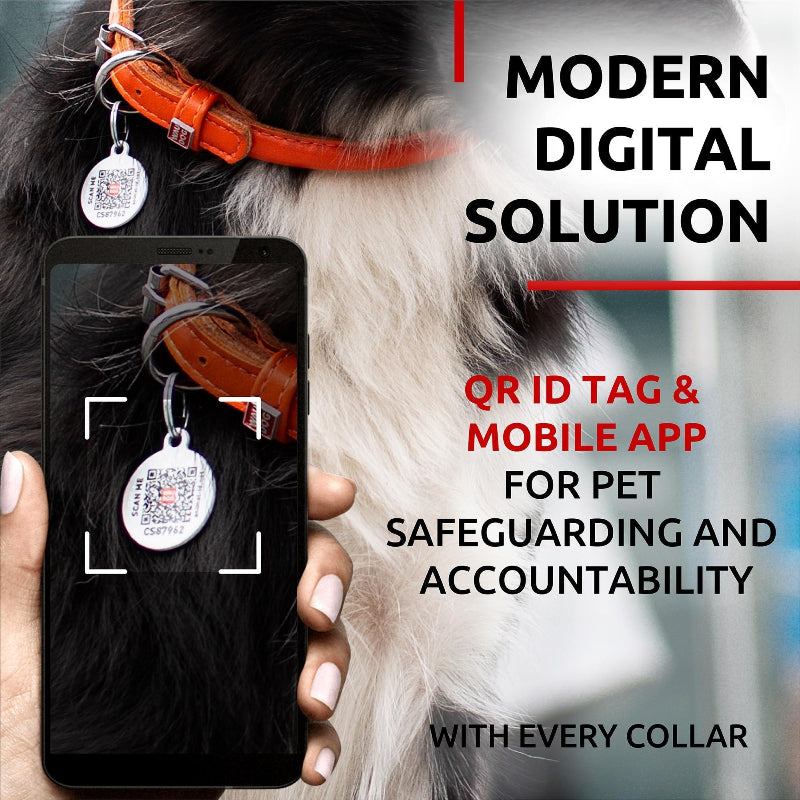 Ultra Leather Collar