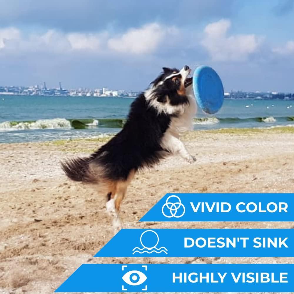 Active Pup Flyer