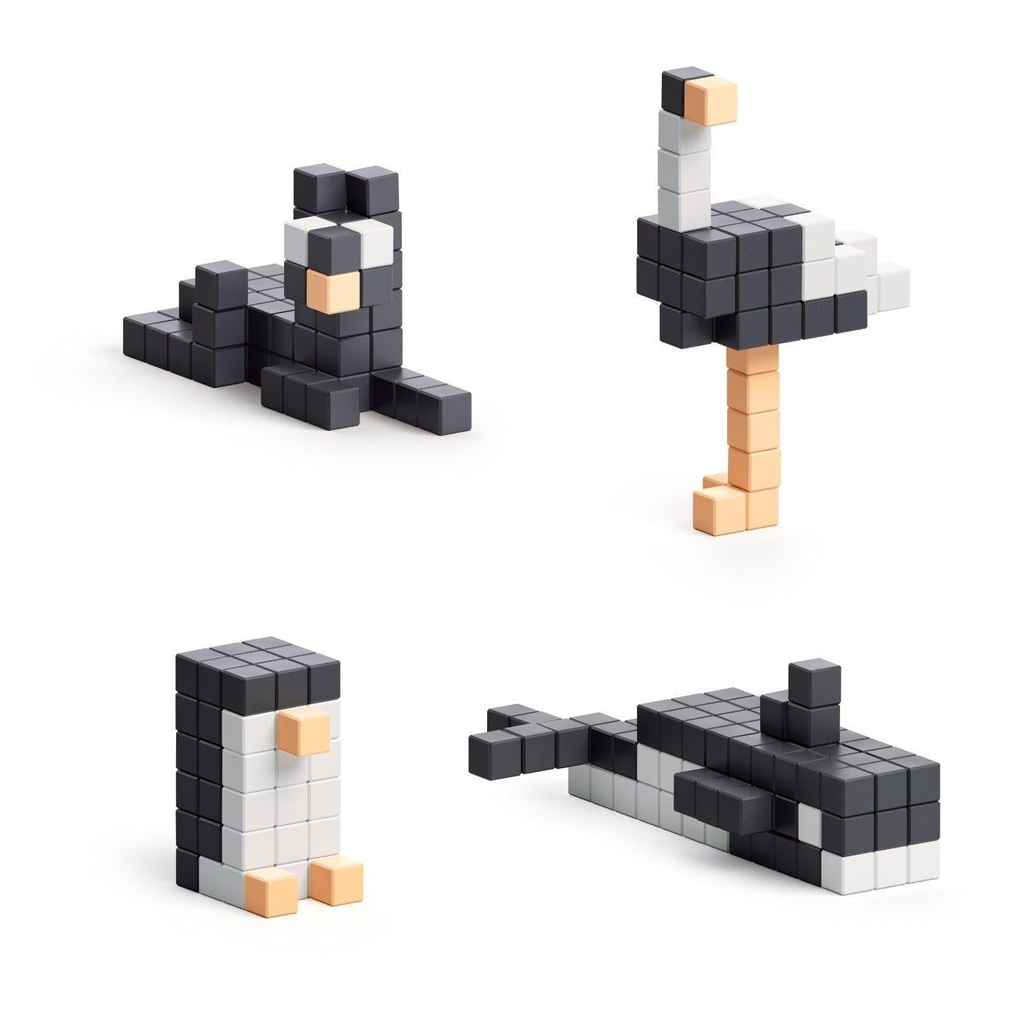 Animal Magnet Set