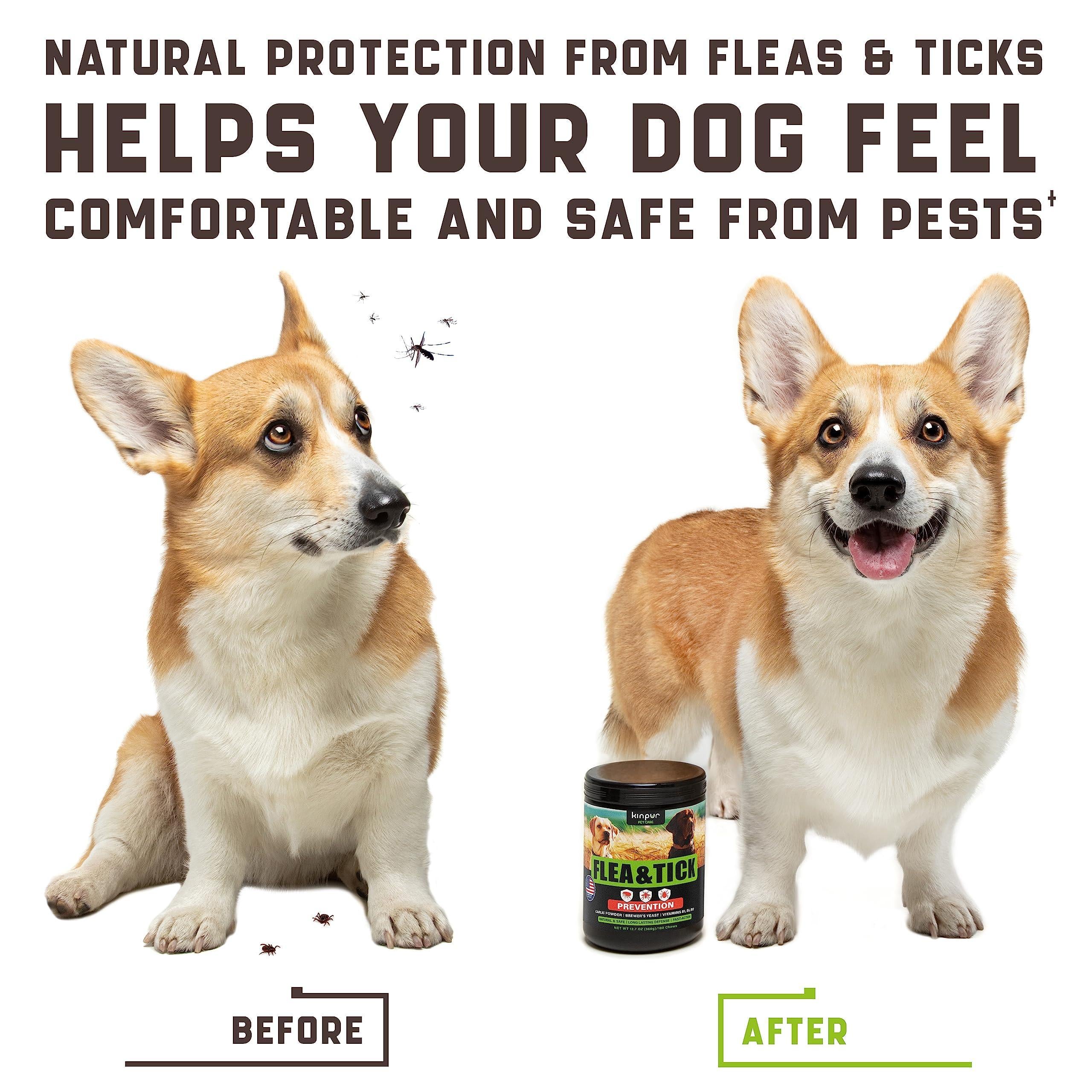 Flea Tick Chews