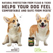 Flea Tick Chews