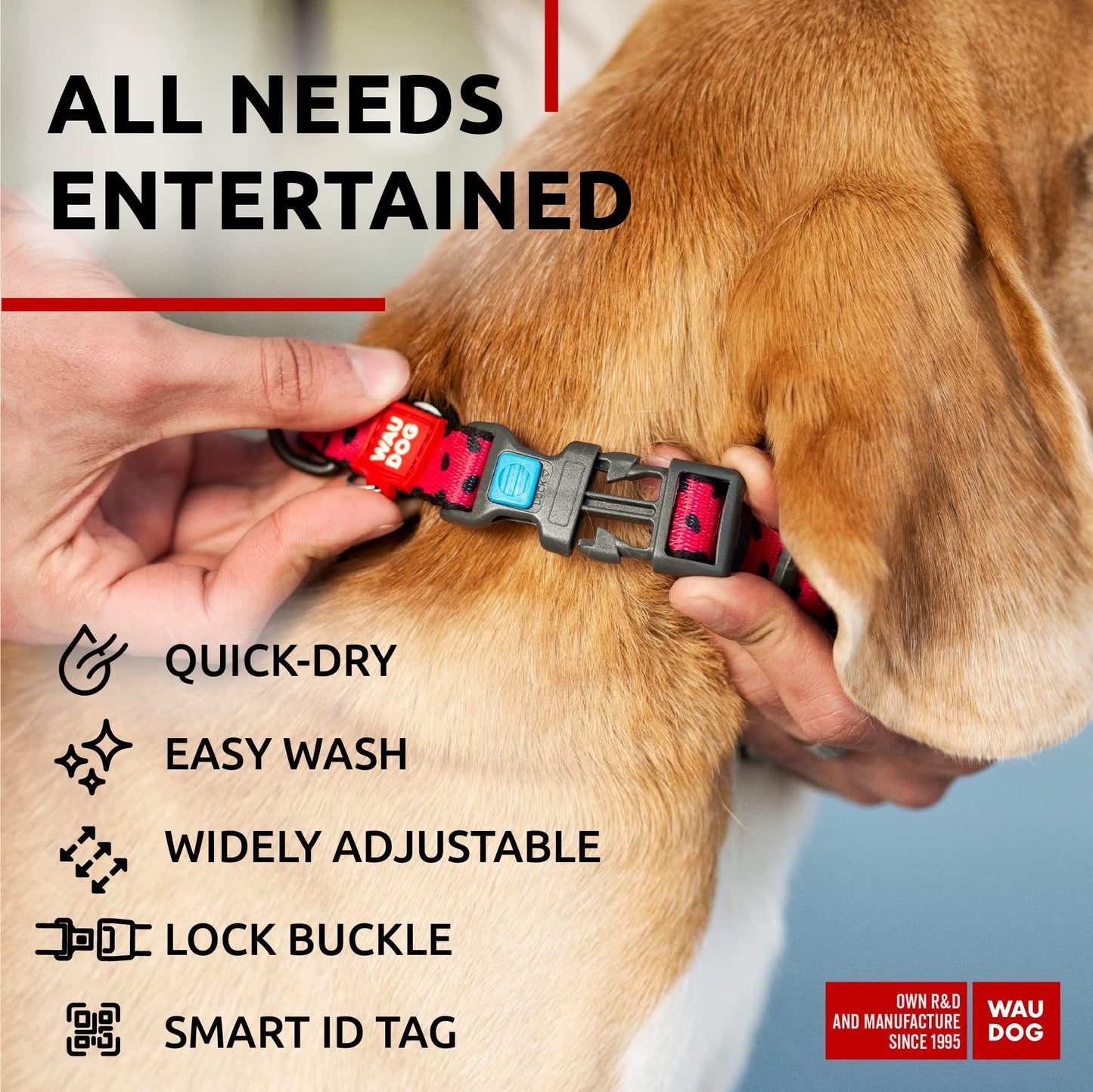 Adjustable Dog Collar for Small to Large Dogs