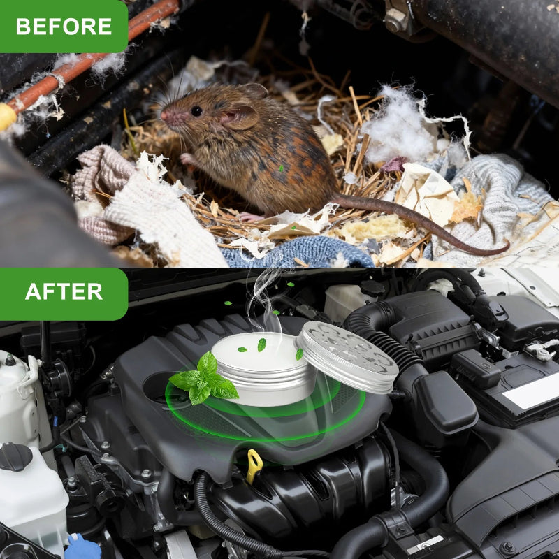 Peppermint Oil Mouse & Rat Repellent – 4 Pack Natural Rodent Deterrent for Cars, Garages & Home