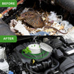 Peppermint Oil Mouse & Rat Repellent – 4 Pack Natural Rodent Deterrent for Cars, Garages & Home