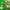 Christmas Green Dog Bandana