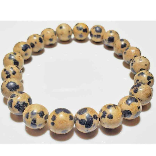 Dalmatian Jasper Beaded Bracelet Natural Stone Stretch Jewelry