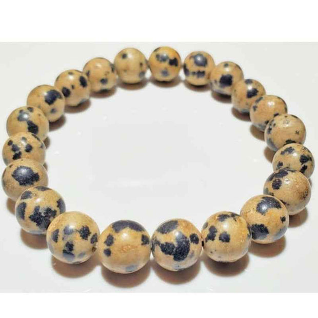 Dalmatian Jasper Beaded Bracelet Natural Stone Stretch Jewelry