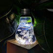 LED Light Bulb Lamp with Wooden Base - Unique Decorative Home Lighting