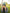 Forest Green Beanie