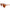 Red Bamboo Tortoise Polarized Sunglasses