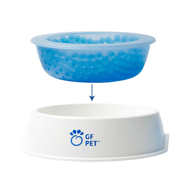 GF PET Pet Bowl – White with Blue Interior