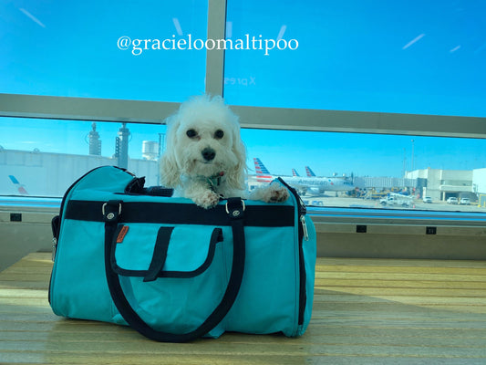 Hideaway 312 Pet Duffel