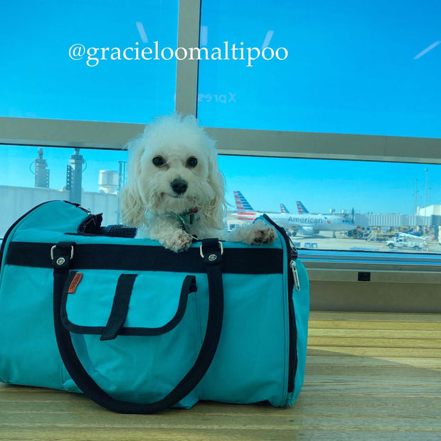 Sac de sport pour animaux Hideaway 312