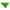 Patrick Green Bandana