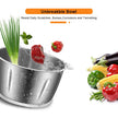 BioloMix 500W 2L Stainless Steel Electric Food Chopper with 2 Speeds, Extra Blade, Meat Grinder and Mincer – 110V US Plug