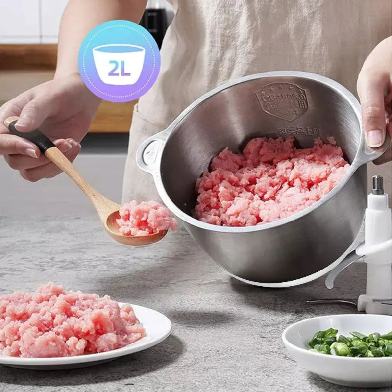 BioloMix 500W 2L Stainless Steel Electric Food Chopper with 2 Speeds, Extra Blade, Meat Grinder and Mincer – 110V US Plug