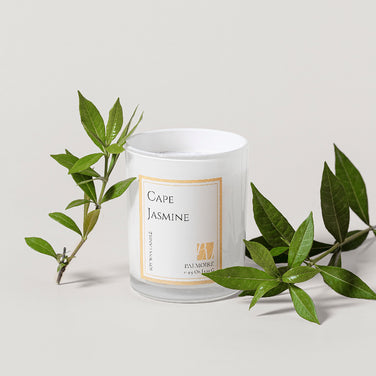 PALMOIRE Cape Jasmine Soy Wax Candle – 4.9 oz (140 g)