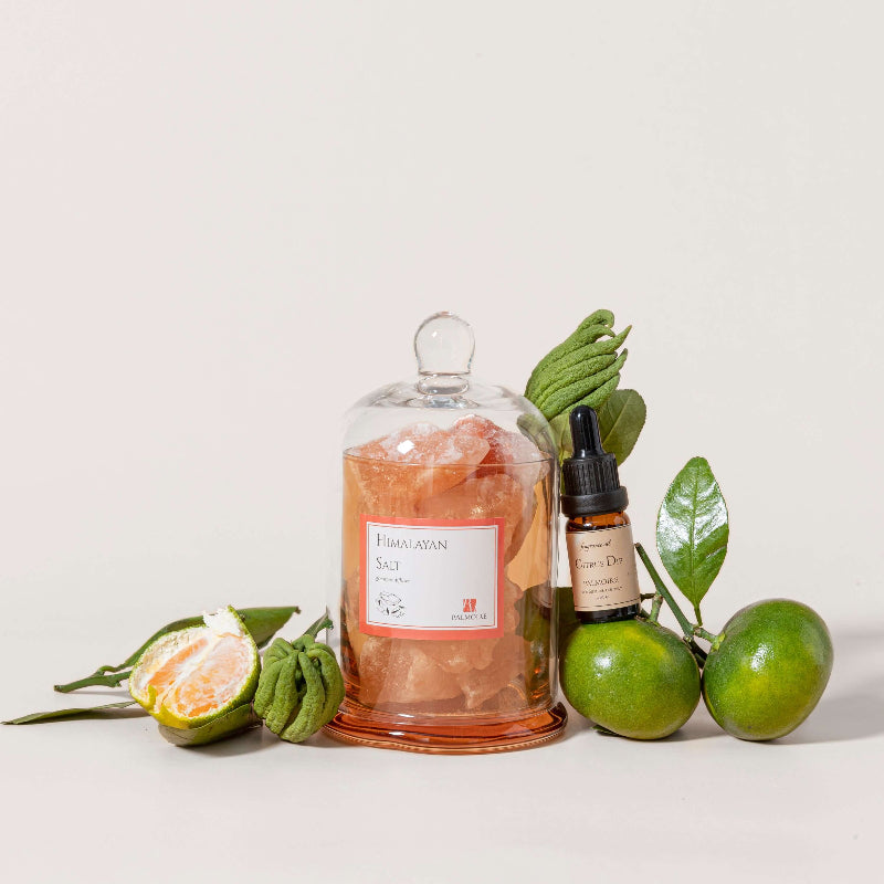 Salt Gemstone Diffuser