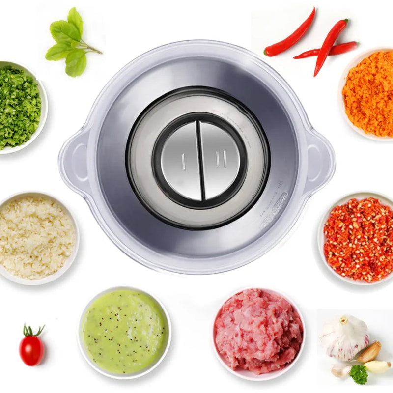 BioloMix 500W 2L Stainless Steel Electric Food Chopper with 2 Speeds, Extra Blade, Meat Grinder and Mincer – 110V US Plug