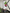 Christmas Movie Tumbler