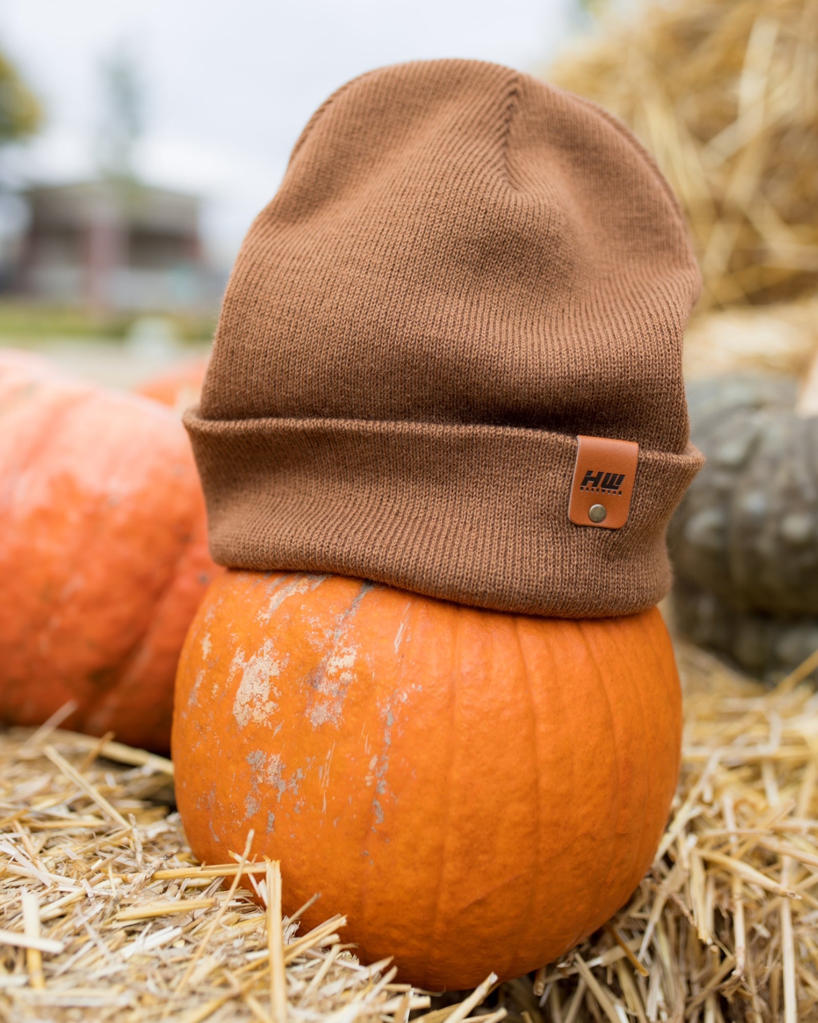 Cuffed Winter Beanie