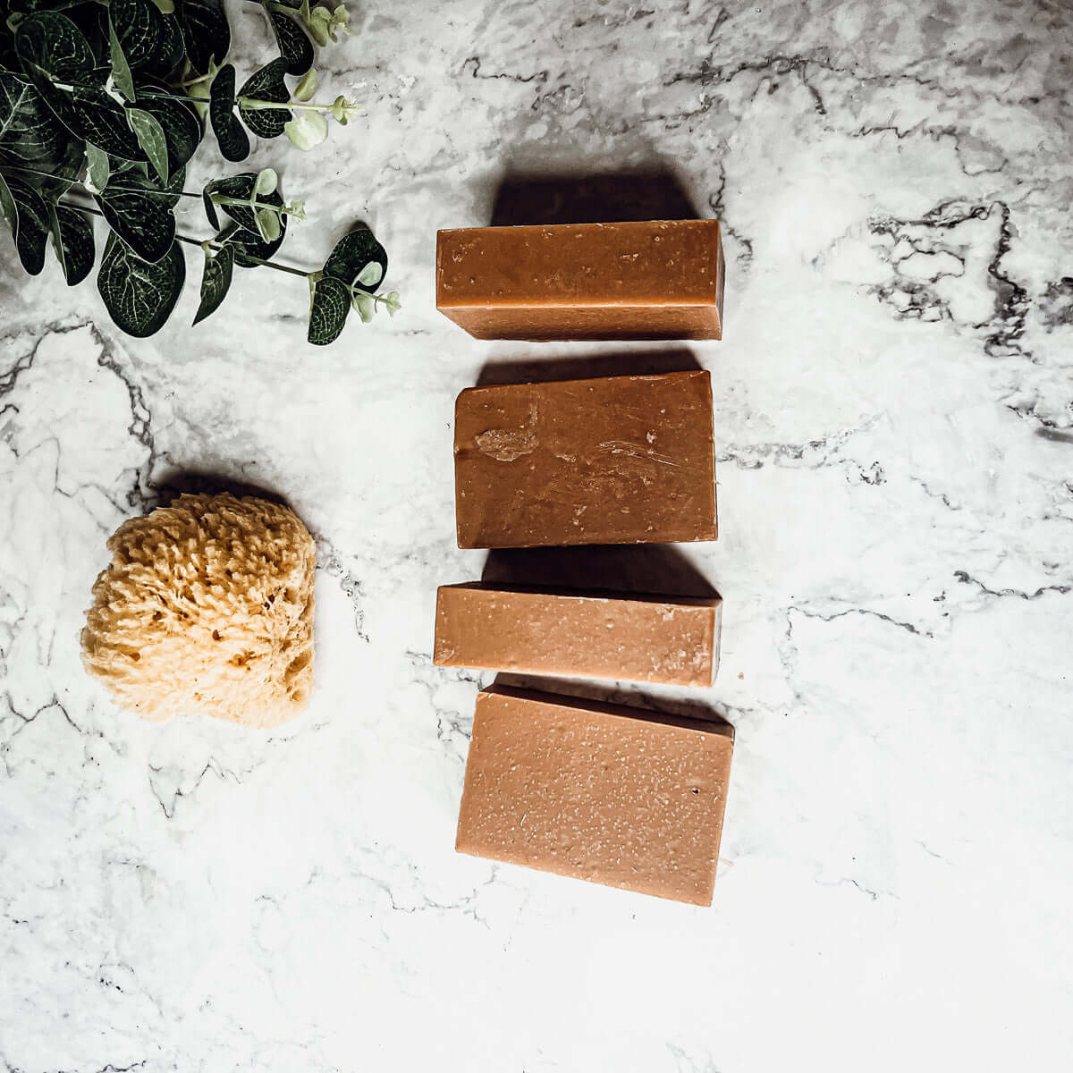 Autumn Spice Delight