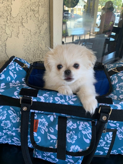 Hideaway 312 Pet Duffel