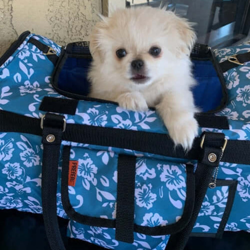 Hideaway Duffel Carrier