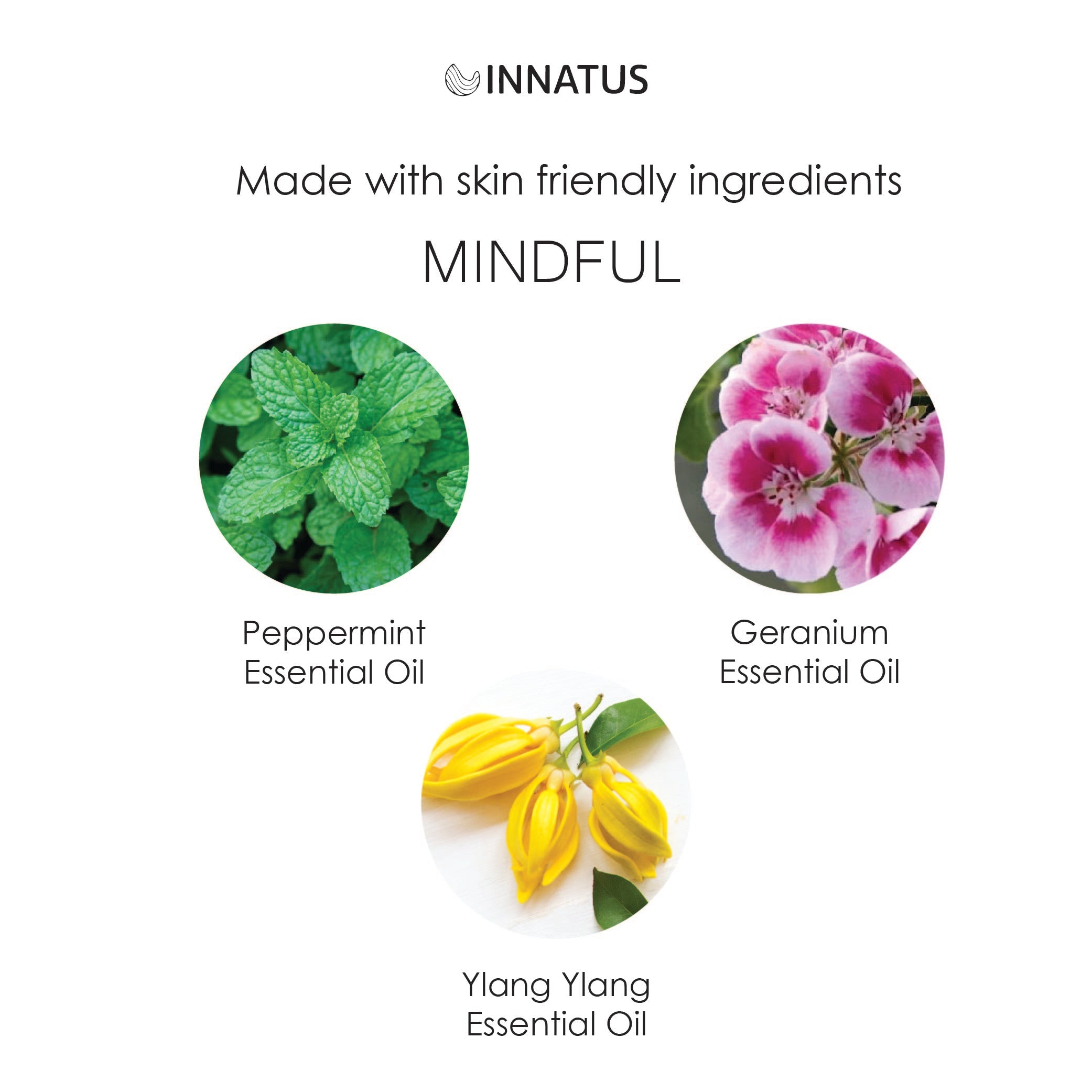 Peppermint Geranium Mist