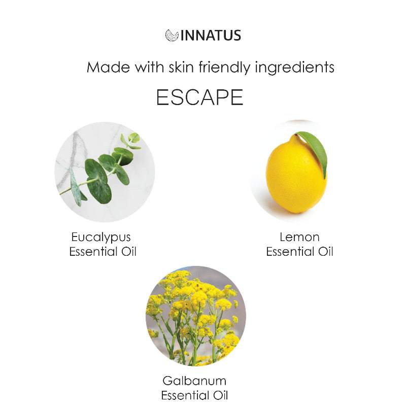 Escape Aromatherapy Shower Steamer by Innatus – Eucalyptus & Galbanum with Lemon