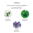 Cleansing Aromatherapy Shower Steamer by Innatus – Eucalyptus, Spearmint & Lavender