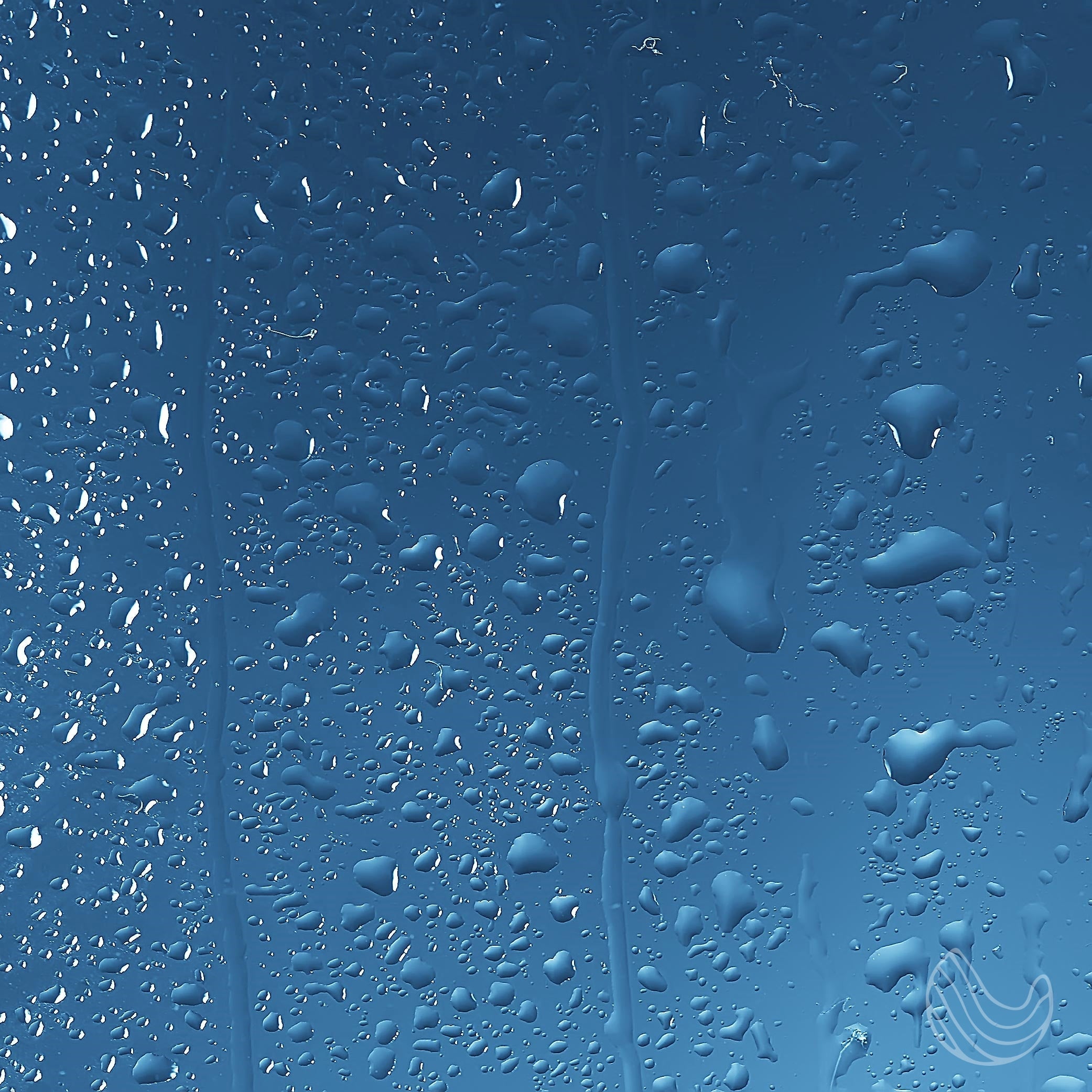 Aromatherapy Shower Spray