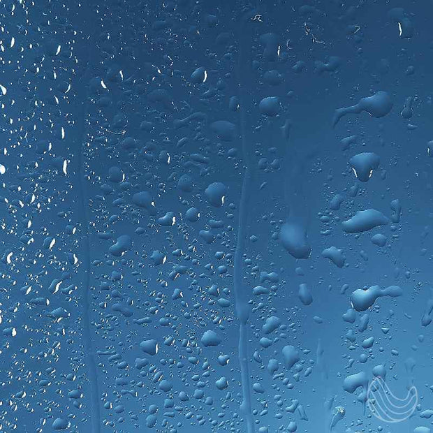 Aromatherapy Shower Spray