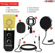 5Core Recording Microphone