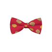 Nuggets Fries Bowtie