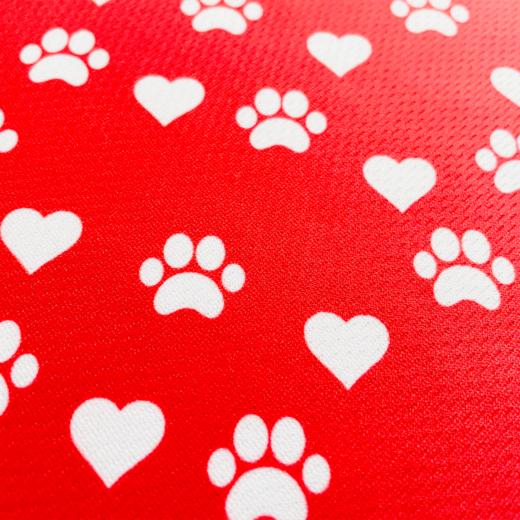 Paw Print Bandana