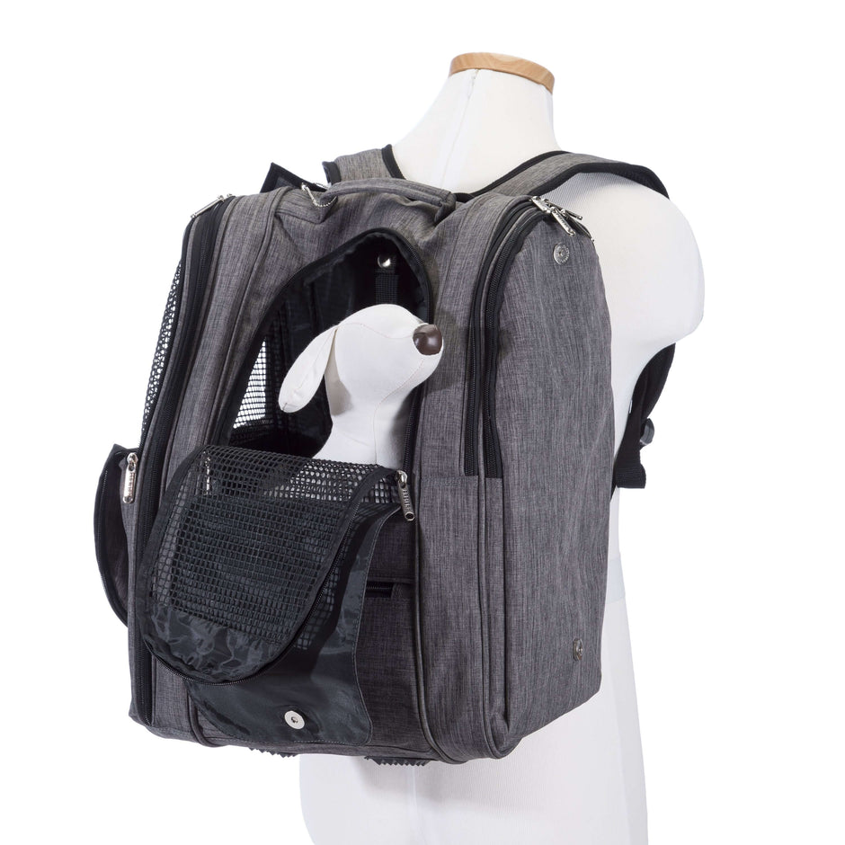 Adventure Pet Backpack