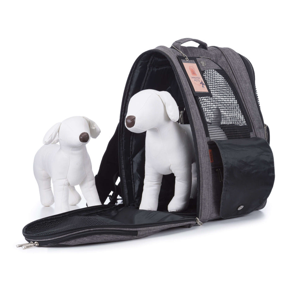 Adventure Pet Backpack