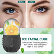 Facial Gua Sha Roller Set with Stainless Steel Massage Tool and Ice Face Roller Beauty Kit
