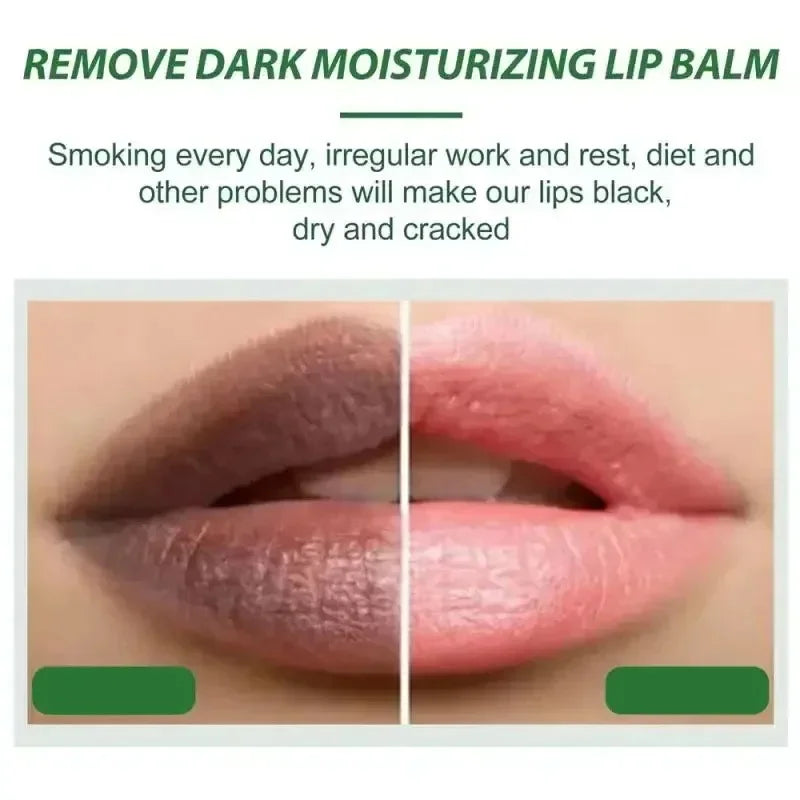 Dark Lip Balm Moisturizing Lip Care Mask Gloss Oil Korean Beauty Lip Treatment