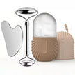 Facial Gua Sha Roller Set with Stainless Steel Massage Tool and Ice Face Roller Beauty Kit