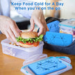 Ultra Thin Reusable Ice Pack for Cooler Bags, Lunch Boxes & Outdoor Food Storage